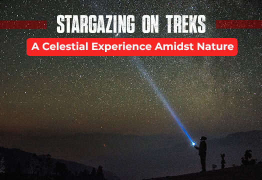 Stargazing on Treks: A Celestial Experience Amidst Majestic Peaks